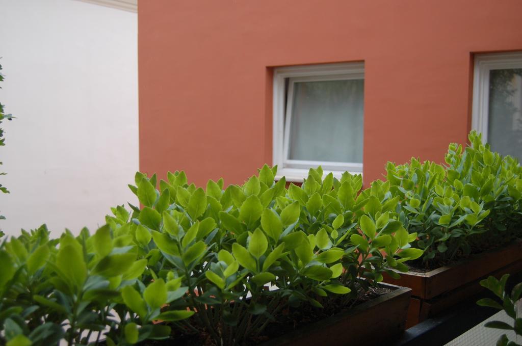 Buda Castle Apartments ブダペスト 部屋 写真